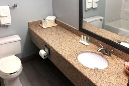 a bathroom with a sink and a toilet and a mirror at Quality Inn Dublin I-81 in Dublin