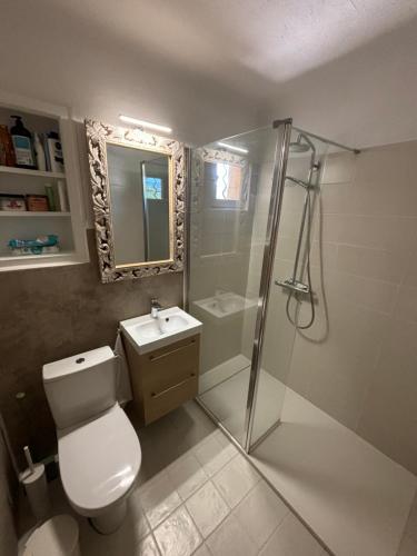 une salle de bain avec une douche, des toilettes et un lavabo dans l'établissement Mas du Chardon Bleu, à Fayence