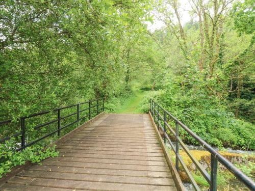 a wooden bridge over a trail in a forest at Harcombe House Bungalow 1 in Newton Abbot