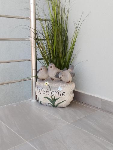 a group of three birds sitting on a rock next to a plant at Black Eagle Apartment in Drama