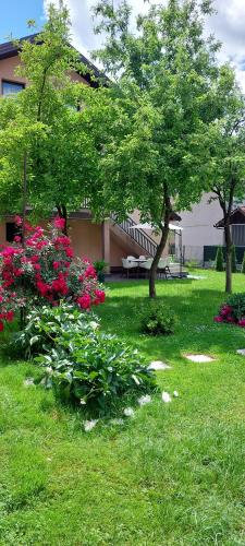 Gallery image of Villa Nur in Sarajevo