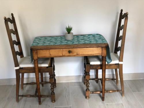 une table avec deux chaises et une plante en pot sur le dessus dans l'établissement Best View Appartement Béziers, à Béziers