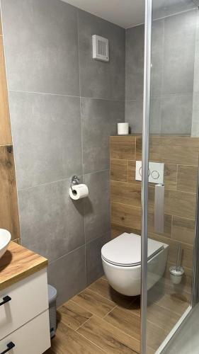 a bathroom with a toilet and a glass shower at Chata Orlice in Bartošovice v Orlických Horách
