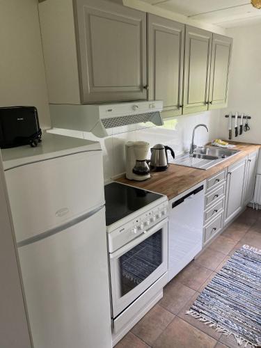 Η κουζίνα ή μικρή κουζίνα στο Skarslia Apartment