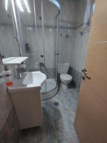 a bathroom with a shower and a toilet and a sink at Silver Coast Cottage Raches in Kouvéla