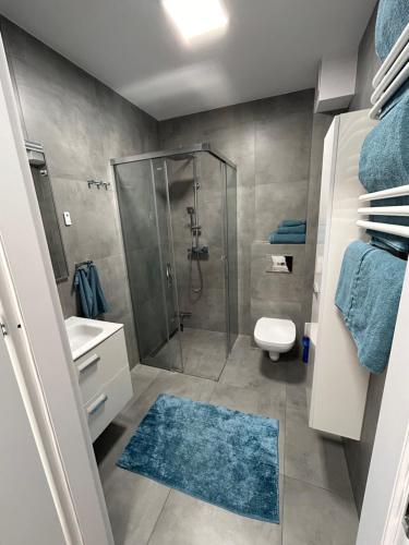 a bathroom with a shower and a toilet and a sink at Apartment Bursztyn z ogródkiem I 250m od plażey - Apartment Bernstein mit Garten I 250m vom Strand in Pogorzelica