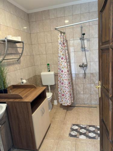 un bagno con doccia, lavandino e WC di Turul Apartmanok Enying-Balatonbozsok a Balatonbozsok