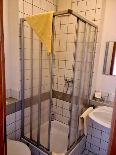 a bathroom with a shower with a toilet and a sink at Logis Hotel Stadt Neustadt in Neustadt