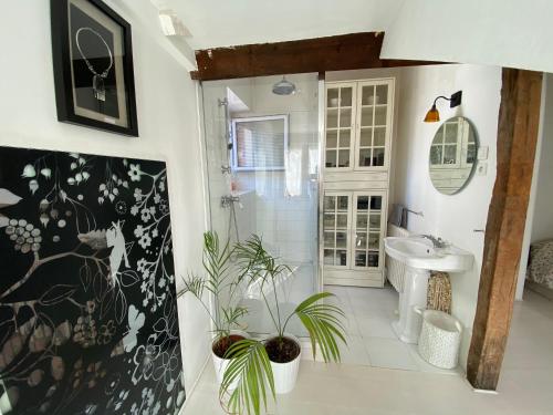 y baño con lavabo y ducha con plantas. en L'académie de Clémence, Guest House Paris-Roland-Garros en Boulogne-Billancourt