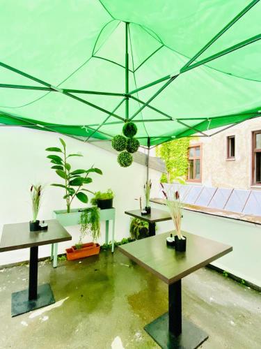 Budget Private Rooms in 8-Bedroom Apartment with Terrace