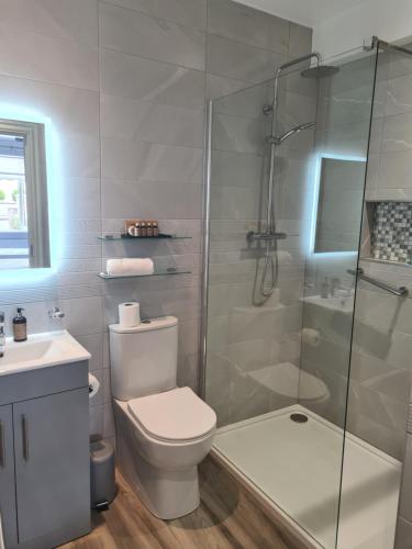 a bathroom with a toilet and a glass shower at Blackrock Carole Ville Guesthouse in Cork