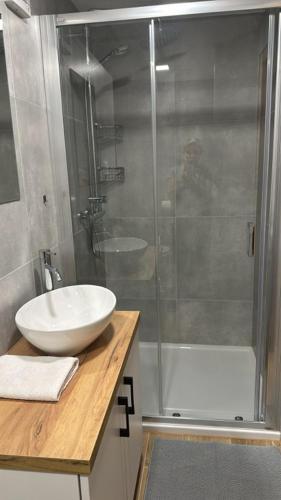a bathroom with a sink and a shower at Chata Orlice in Bartošovice v Orlických Horách