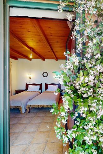 two beds in a room with a flowering plant at Nana Apartments in Zaros