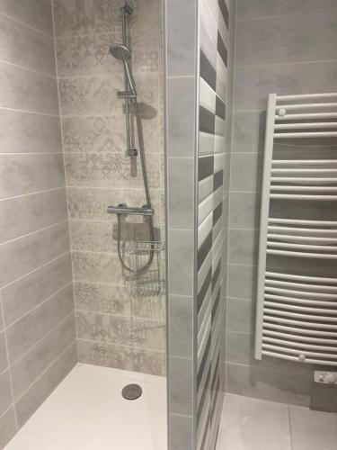 une douche avec une porte vitrée dans une salle de bain dans l'établissement Hôtel Restaurant La Renaissance, à Saint-Cirgues-en-Montagne