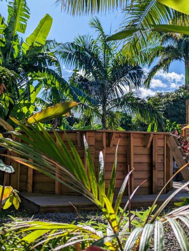 a wooden bench in a garden with palm trees at Villa a la Possession in La Possession