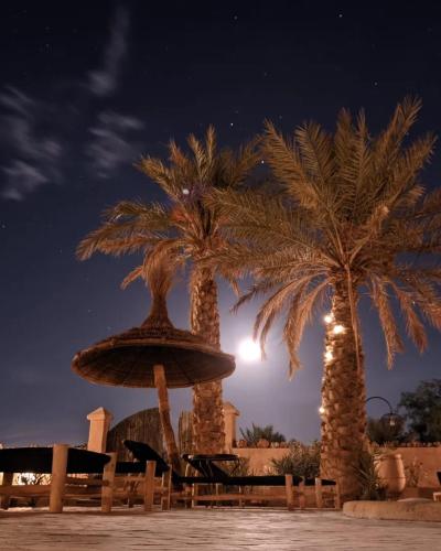 due palme e una fontana di notte di RiadSuerteloca Merzouga a Merzouga