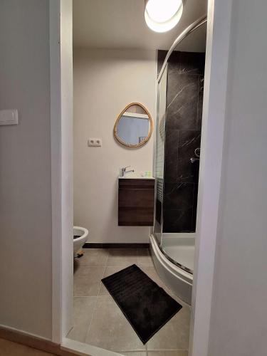 a bathroom with a shower and a toilet and a sink at "Chez Ba'Nus" in Blankenberge