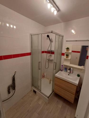une salle de bain avec douche et lavabo dans l'établissement Appartement cosy à 10 min de Paris, à Aubervilliers