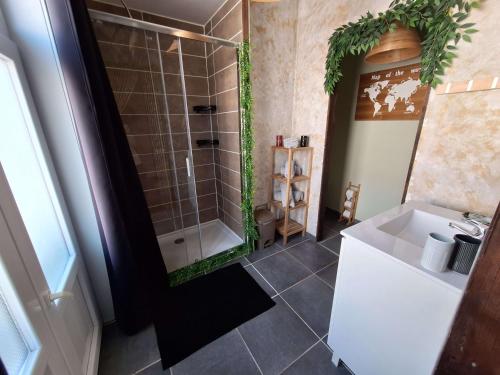 een badkamer met een douche en een wastafel bij "Chez Ba'Nus" in Blankenberge