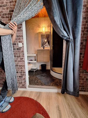 a view of a bathroom with a shower in a room at "Chez Ba'Nus" in Blankenberge