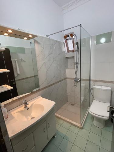 a bathroom with a shower and a sink and a toilet at Anel s Villa in Berat