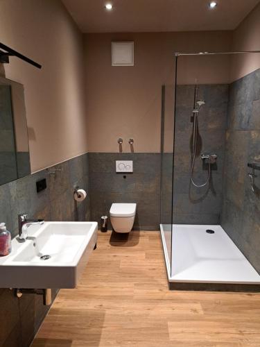 a bathroom with a shower and a sink and a toilet at Kühlungsborner Brauhaus in Kühlungsborn