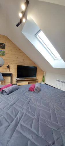 a bedroom with a large bed and a piano at Apartamenty Trzy Kopce SKI & BIKE & SAUNA in Ustroń