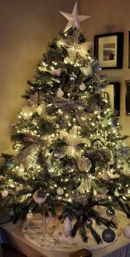 a christmas tree with white lights on it at "Chez Ba'Nus" in Blankenberge