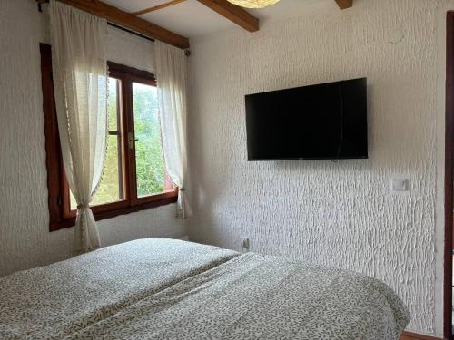 a bedroom with a bed and a flat screen tv on the wall at Vila Hedona in Donji Milanovac