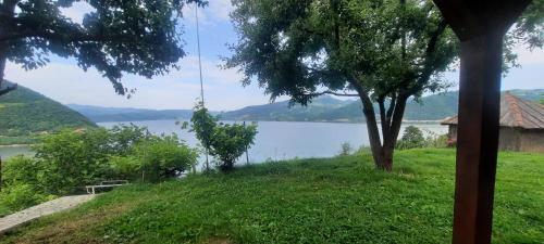 Un paisaje natural cerca del departamento