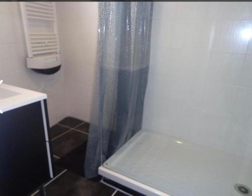 une salle de bain avec un rideau de douche et un lavabo dans l'établissement Chalet avec SPA à Biscarrosse, à Biscarrosse