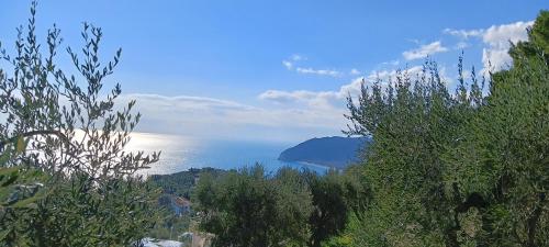 a view of the ocean from a hill with trees at Levante - Meridiana case al mare in Mattinata