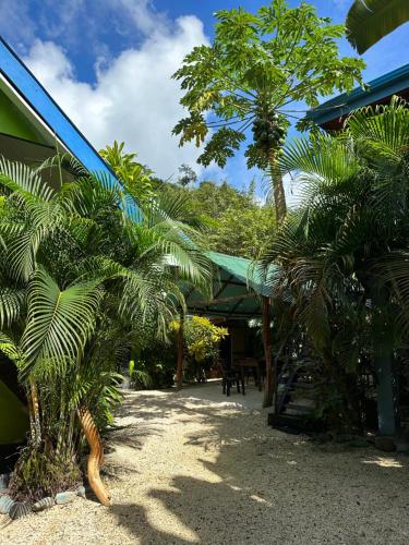 a group of palm trees in front of a building at Surf Paradise in Santa Teresa Beach