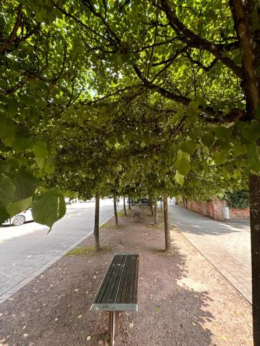 a park with trees and a bench on a street at AMAO-Curry - City Center - 100 m2 - 7 Personen - Balkon - 2 Schlafzimmer - KingSize Betten in Lahr