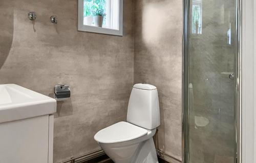 a bathroom with a toilet and a shower at Awesome Home In Västervik With Kitchen in Västervik