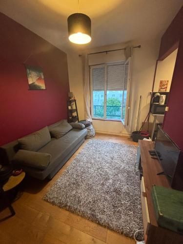 un salon avec un canapé et un tapis dans l'établissement Cozy Studio with in paris, à LʼÎle-Saint-Denis