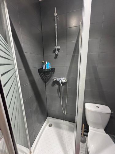 La petite salle de bains est pourvue d'une douche et de toilettes. dans l'établissement Cozy Studio with in paris, à LʼÎle-Saint-Denis