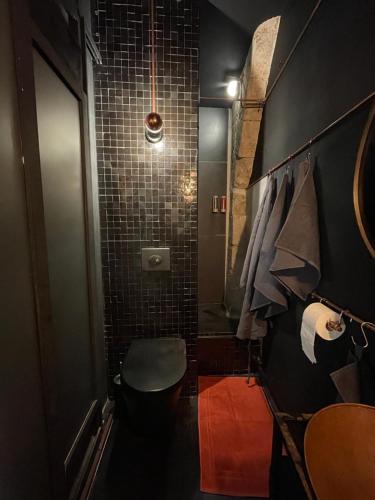 une salle de bain avec douche et toilettes dans l'établissement Loft Atypique - Climatisé - Hyper centre - Calme - Petite terrasse, à Béziers