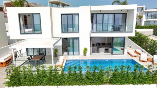 Palmera Gold Vila