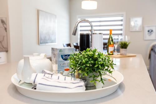 a kitchen counter with a sink with towels and a plant at Beautiful Elegant Home Sleeps 10, Free Parking, Central AC in Edmonton