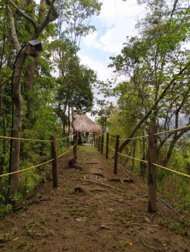 a dirt trail with a fence and a hut at Minca Ecohabs Hotel in Minca