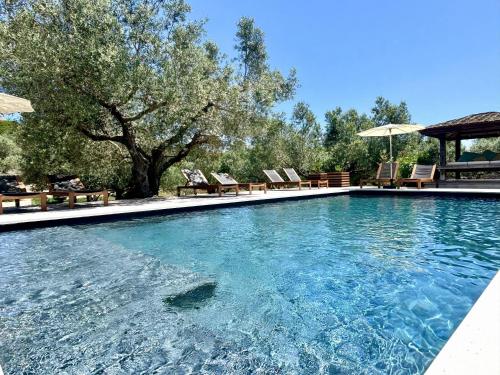 a large swimming pool with chairs and umbrellas at Nature & Design in Bonifacio