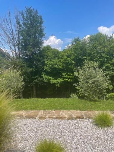 a garden with trees and grass and a stone path at The Iconic Lodge in Bellagio