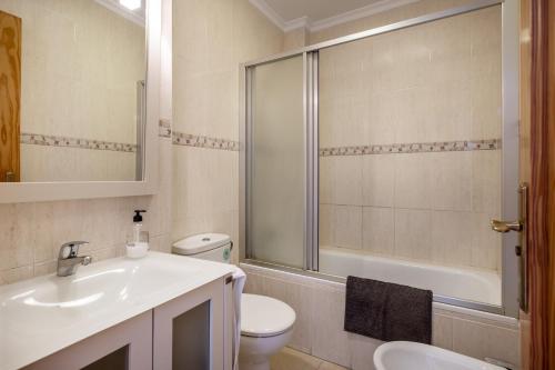 een badkamer met een toilet, een wastafel en een douche bij Ático el morche in Morche