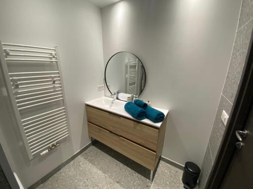 La salle de bains est pourvue d'un lavabo et d'un miroir. dans l'établissement La Scène du Lac - Au bord du Lac avec Garage, à Annecy