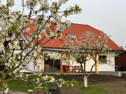 a house with a red roof and flowering trees at Am Gallowayhof in Seehausen