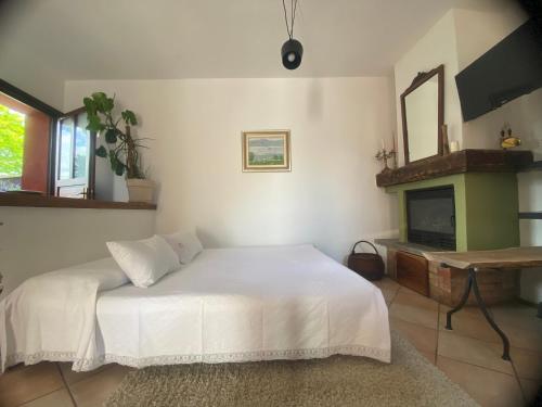 a bedroom with a white bed and a fireplace at La Casa Rosa di Riso Amaro in Orta San Giulio