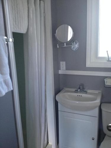 a bathroom with a sink and a mirror at My Friends Inn Manitoulin in Manitowaning