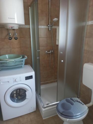 La salle de bains est pourvue d'une douche et d'un lave-linge. dans l'établissement App Krivit, à Pula
