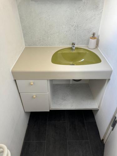 a bathroom with a green sink in a room at Garden House in Interlaken